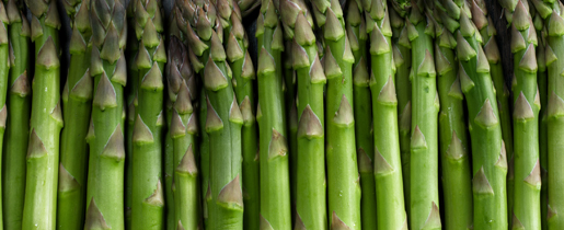 asparagus